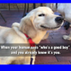 Meet your Posher, Miles